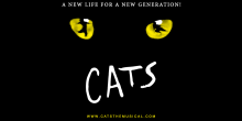 world-famous-broadway-show-cats-is-coming-to-bulgaria